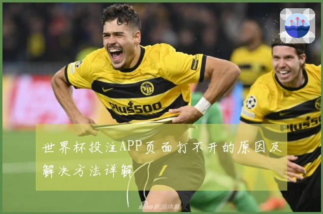 世界杯投注APP页面打不开的原因及解决方法详解