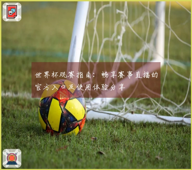 世界杯观赛指南：畅享赛事直播的官方入口及使用体验分享