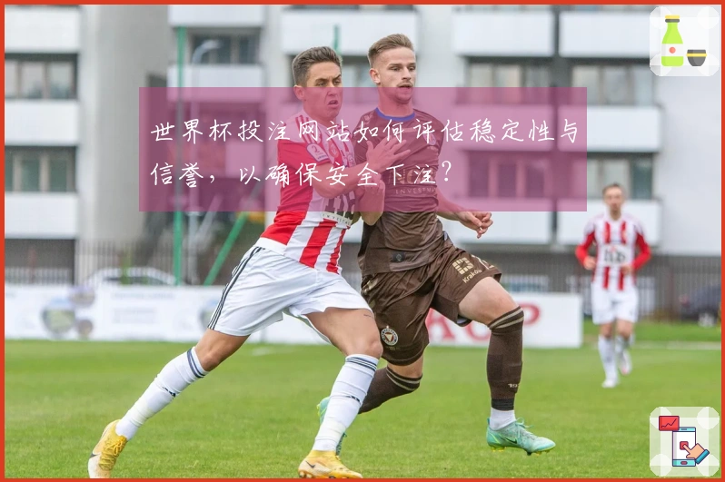 世界杯投注网站如何评估稳定性与信誉，以确保安全下注？