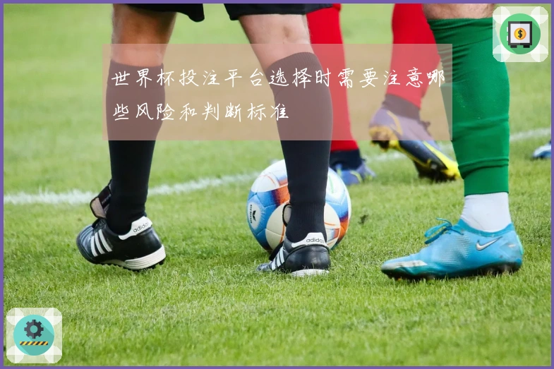 世界杯投注平台选择时需要注意哪些风险和判断标准