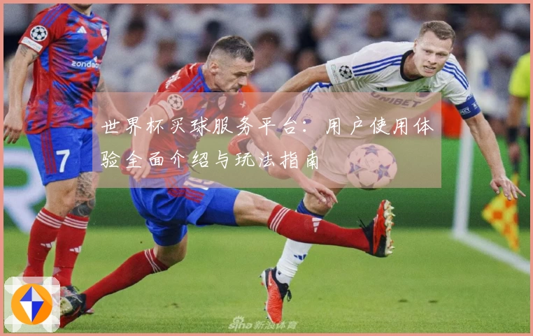 世界杯买球服务平台：用户使用体验全面介绍与玩法指南