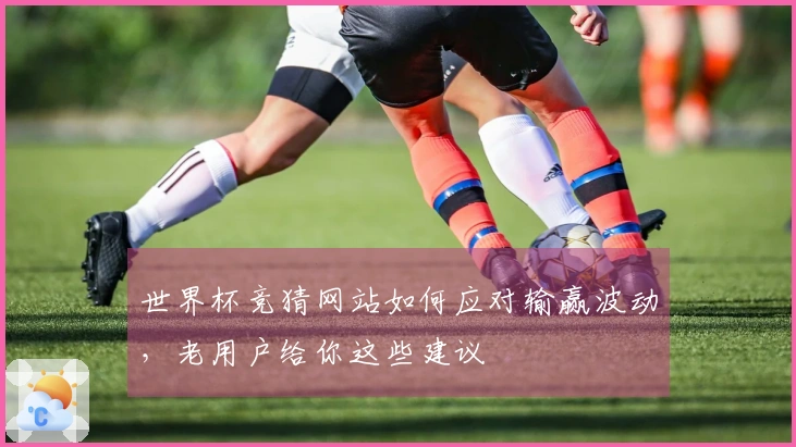 世界杯竞猜网站如何应对输赢波动，老用户给你这些建议