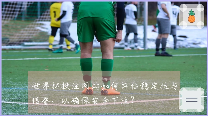 世界杯投注网站如何评估稳定性与信誉，以确保安全下注？
