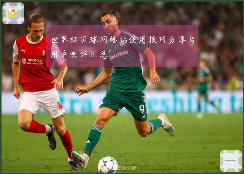 世界杯买球网络站使用技巧分享与用户测评汇总