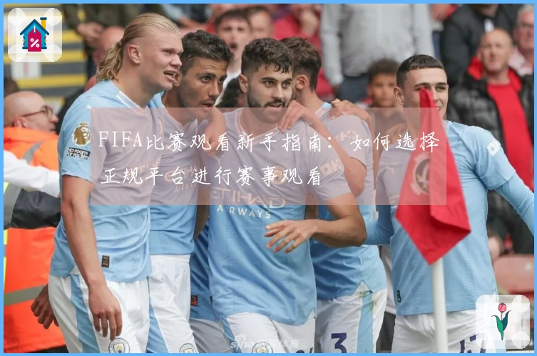 FIFA比赛观看新手指南：如何选择正规平台进行赛事观看