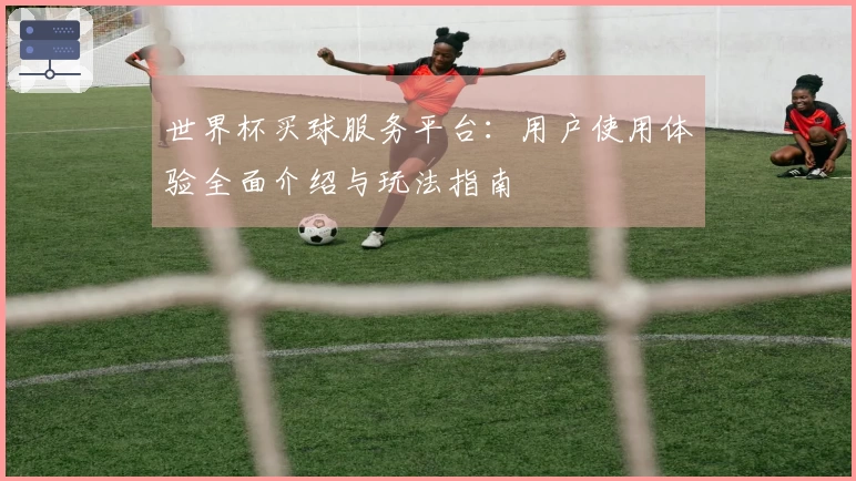世界杯买球服务平台：用户使用体验全面介绍与玩法指南