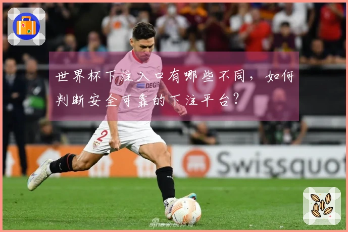 世界杯下注入口有哪些不同，如何判断安全可靠的下注平台？