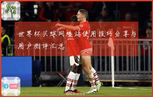 世界杯买球网络站使用技巧分享与用户测评汇总