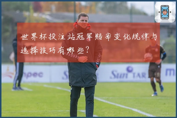 世界杯投注站冠军赔率变化规律与选择技巧有哪些？