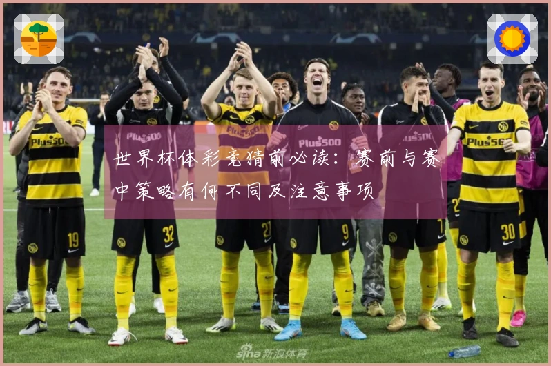 世界杯体彩竞猜前必读：赛前与赛中策略有何不同及注意事项