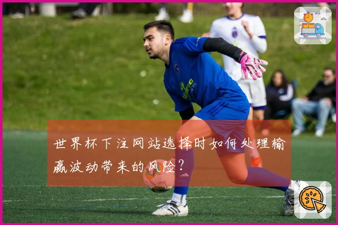 世界杯下注网站选择时如何处理输赢波动带来的风险？