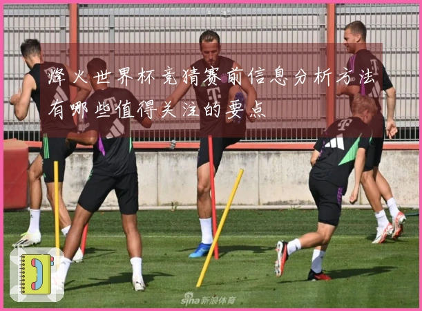 烽火世界杯竞猜赛前信息分析方法有哪些值得关注的要点