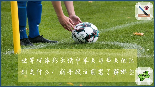 世界杯体彩竞猜中单关与串关的区别是什么，新手投注前需了解哪些风险？