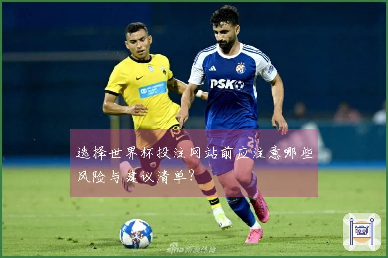 选择世界杯投注网站前应注意哪些风险与建议清单？