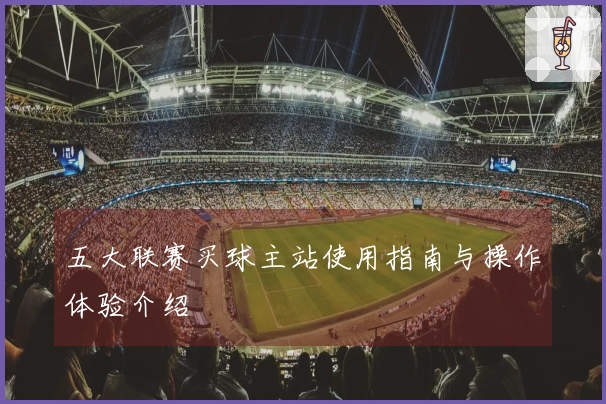 五大联赛买球主站使用指南与操作体验介绍