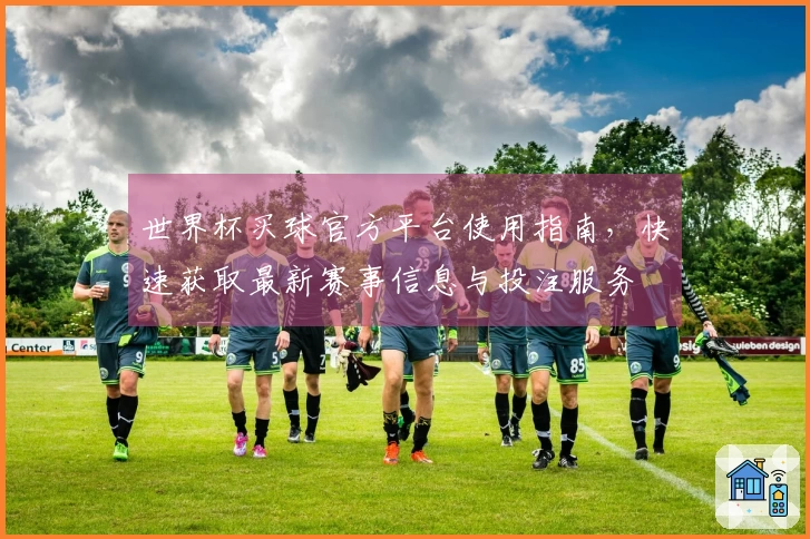 世界杯买球官方平台使用指南，快速获取最新赛事信息与投注服务