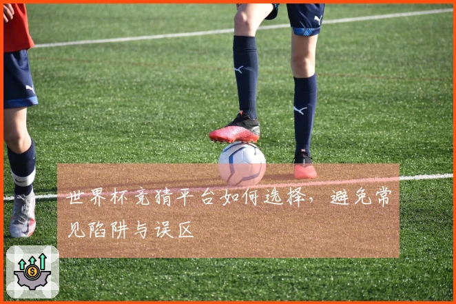世界杯竞猜平台如何选择，避免常见陷阱与误区