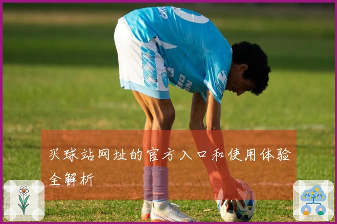 买球站网址的官方入口和使用体验全解析
