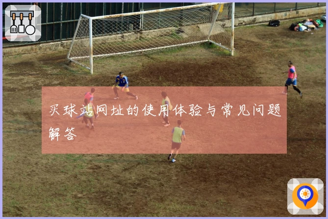 买球站网址的使用体验与常见问题解答