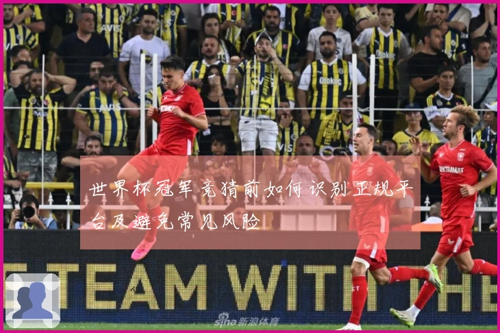 世界杯冠军竞猜前如何识别正规平台及避免常见风险