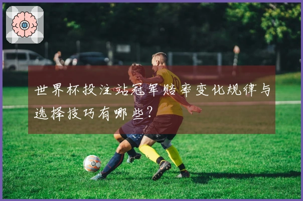 世界杯投注站冠军赔率变化规律与选择技巧有哪些？