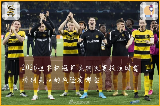 2026世界杯冠军竞猜决赛投注时需特别关注的风险有哪些