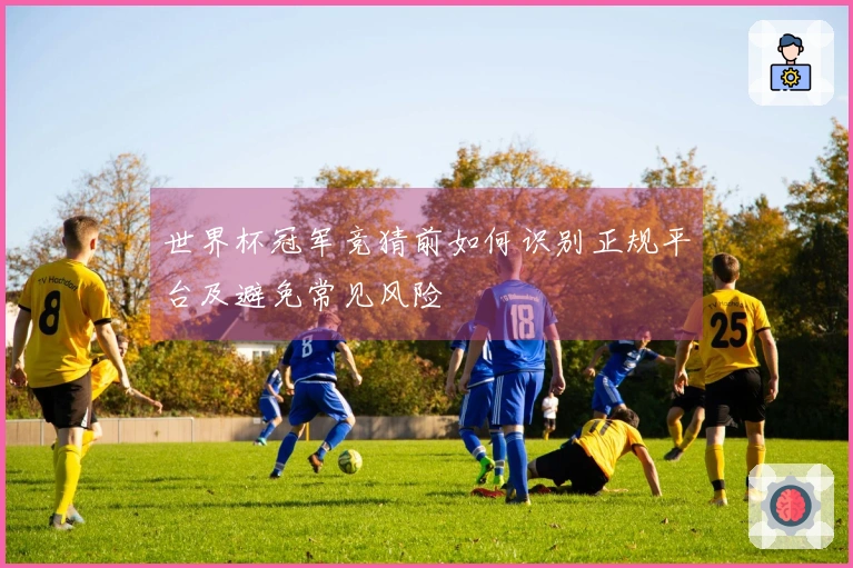 世界杯冠军竞猜前如何识别正规平台及避免常见风险