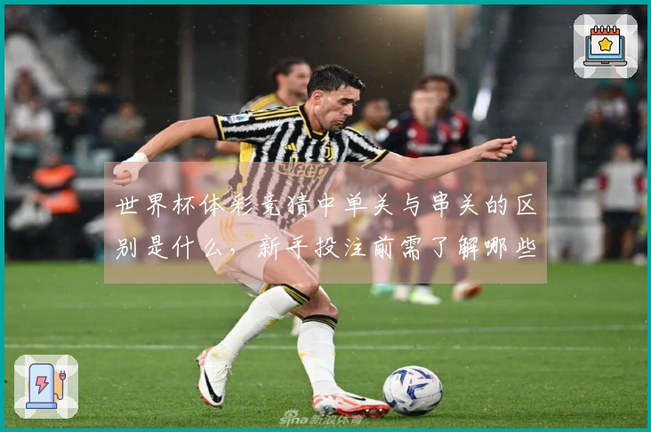 世界杯体彩竞猜中单关与串关的区别是什么，新手投注前需了解哪些风险？