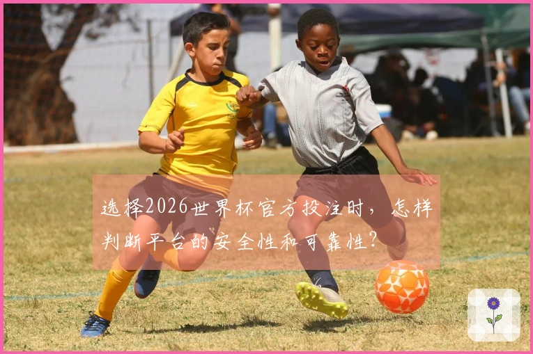 选择2026世界杯官方投注时，怎样判断平台的安全性和可靠性？
